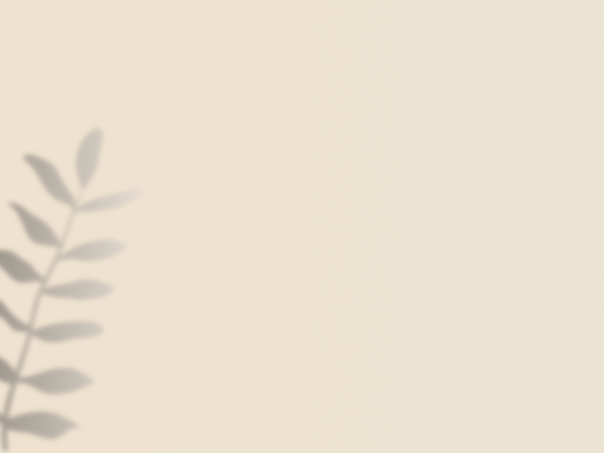 Stem of Leaves Shadow on Pastel Background Copy Space